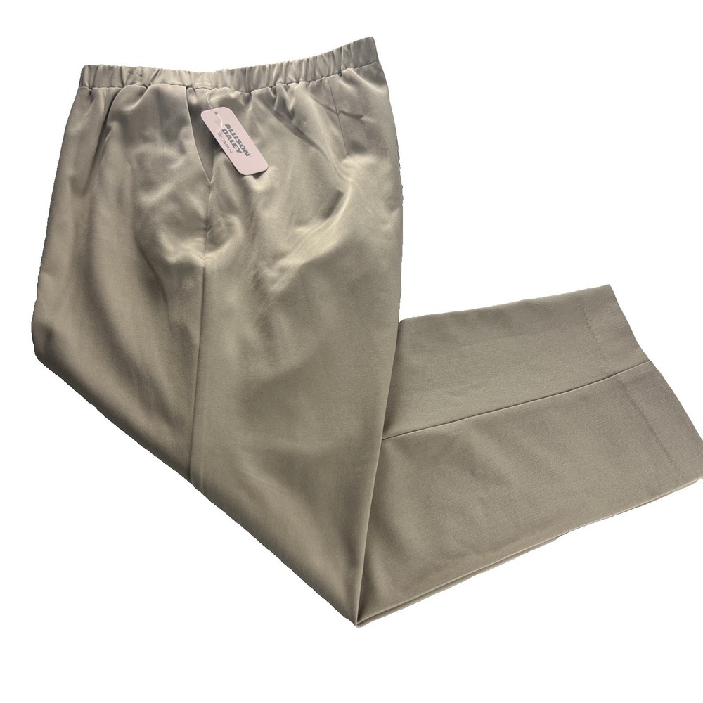 Allison Daley Pants Woman Size 22‎ WS Elastic Waist Stretch Pockets Lt Khaki B34
